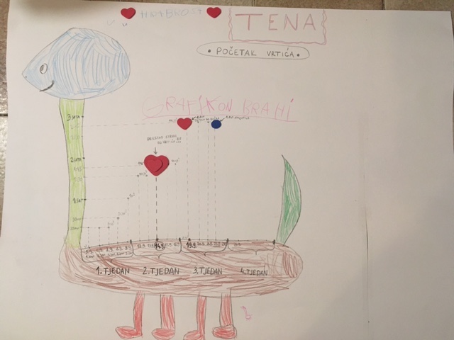 radionica socio-emocionalnog učenja